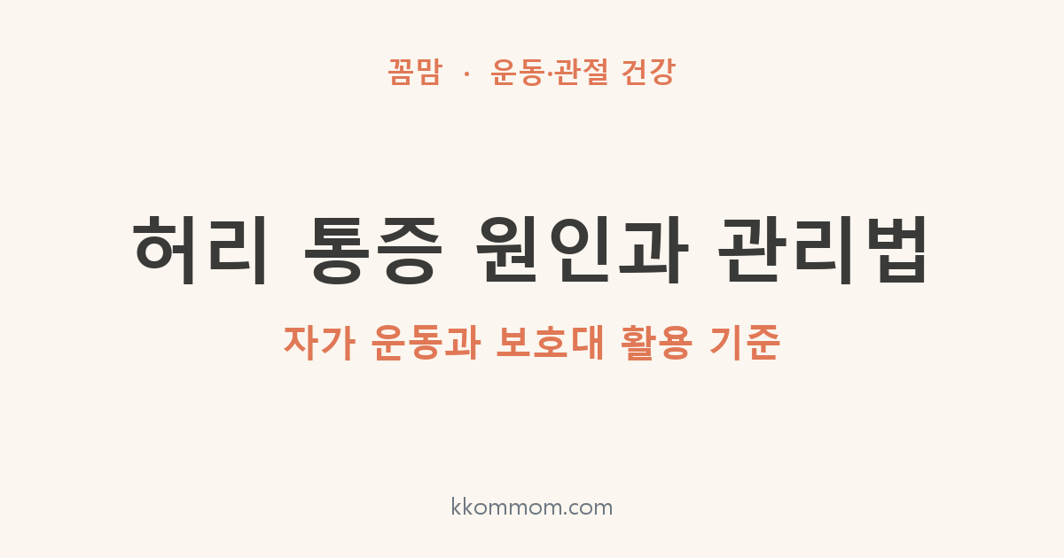 허리 통증 원인과 관리법: 자가 운동과 보호대 활용 기준